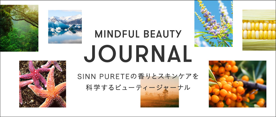 journal